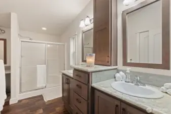 Primary bath with walk-in shower and ample vanity storage.