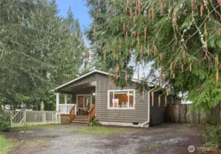 Set back from the street with mature trees creating a sense of privacy and space.