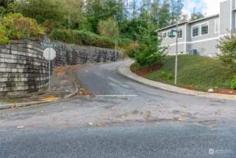 Entrance to the cul de sac from Fidalgo Bay Road.