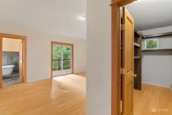 Primary bedroom with walk-in closet