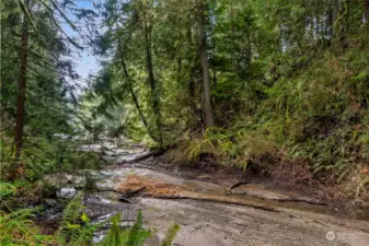 Year-round creek in your backyard