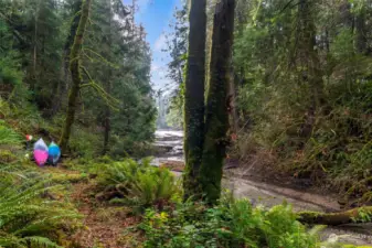 Year-round creek in your backyard providing access to Henderson Inlet