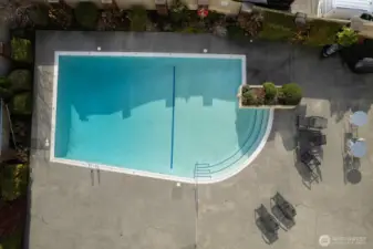 Enjoy Hot Summer Days by the Pool