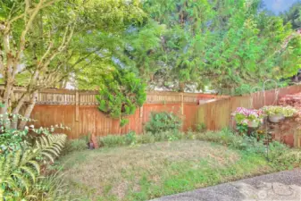 The fully fenced yard keeps fido safe