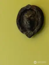 Lovely lion's head on front door!
