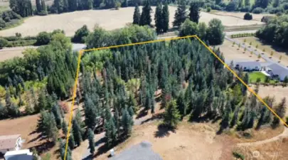 Outline is approximate of southerly portion of parcel
