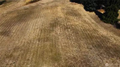 Middle of the lot