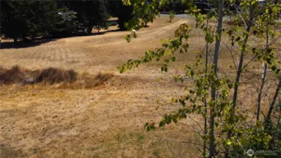 Mid lot view from the western edge to the south.