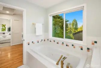 View of the jetted tub, walk in closet, and primary bedroom beyond.