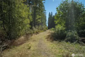 154th Ave is private and a perfect place to go walking, especially with furry friends.