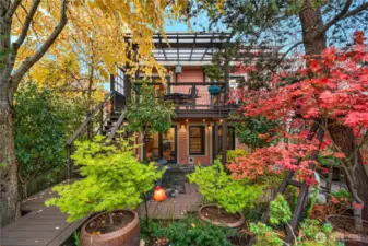 Thoughtfully designed landscaping for year round beauty. West-facing covered deck overlooking mature specimen trees (Katsura/Japanese Pagoda tree on left, Shore Pine on right).