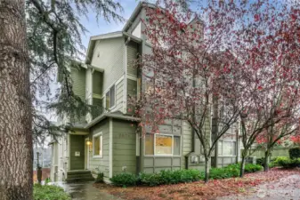 East facing front of house