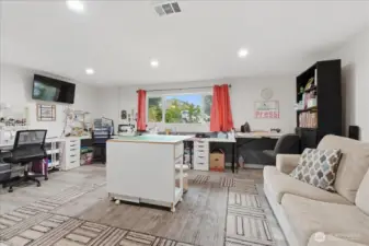 Lower level living/bonus room