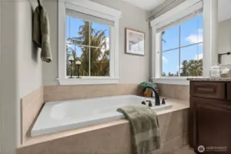 Views of the lake from the primary bath tub