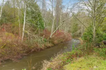 Issaquah Creek at flood stage - still well within it' channel and far from the house and well