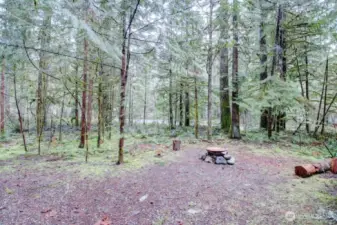 Private and wooded lot