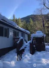 During the winter