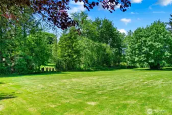 Beautiful backyard w/ a total of 2.3 acres!
