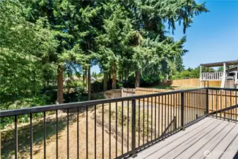 Back deck, with new composite material, looking out on the spacious back yard.