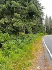 Road view