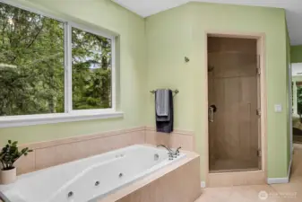 Jetted Tub and spacious Walk-In Shower