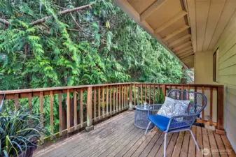 Upstairs Deck Off The Dining Area.