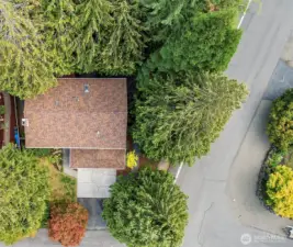 Ariel View.