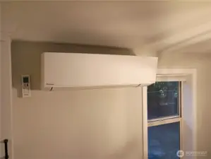 Daikin mini-split