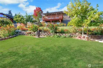 Think of The Fun You Could Have in This Yard!