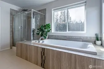 Upgraded rain shower head in the separate shower.