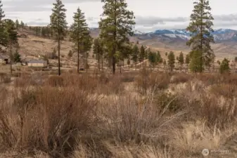 Flat land, low brush, and  trees throughout the property.