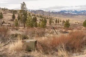 Power & well on the property.