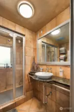 Private second bath on lower level with steam and Swedish shower