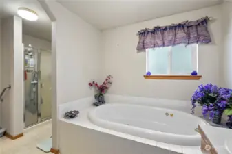 Extra large 5 piece bathroom... soaking tub with jets!