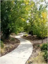 Walking Trail