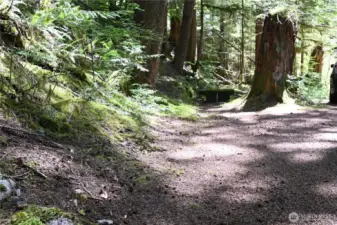 Horseshoe pit.
