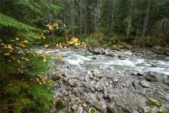NO rooftops, no roads ~ just nature, trees & water views!