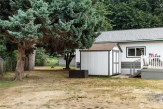 Fruit tree & hot tub in outside shed