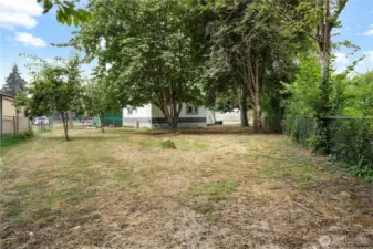 Side yard & cherry tree