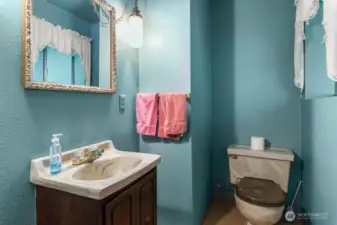 Half bath off of the lower level living room.