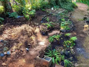 Back yard in Spring with native plantings