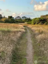 The trail from the beach.