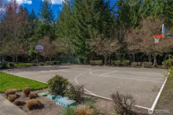 Neighborhood Sport Court!