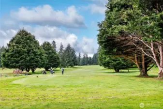 Tee time!