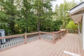 Huge Deck