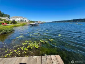 View from private dock