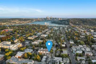 Aerial view capturing the full Arlo community nestled within Wallingford’s tree-lined streets. A rare chance to own new construction in one of Seattle’s most sought-after neighborhoods.