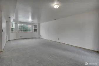 Another view of super size rec room.