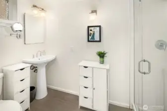 Lower level primary bath