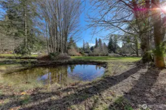 Community Meadow, Part of the 4.7 acre shared lot that meanders down to the water from Lot 6